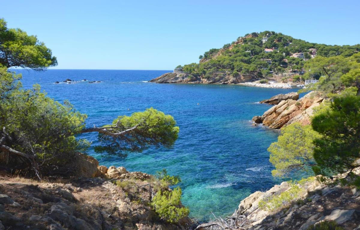 Apartamento Un Nid A Tropez
